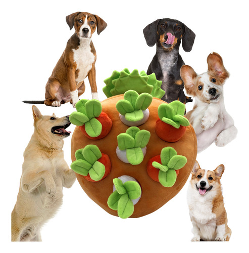 Juguete Para Perros Hide And Seek Squeak, Herramienta De Ent