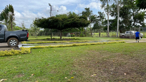 Imagen 15 de 25 de Bella Finca Operativa Ubicada En El Palmar, Estado Bolivar