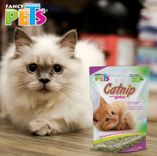Imagen 4 de 5 de Catnip Atrayente Para Gatos Plus 28 Gr Fancy Pets Fl3922