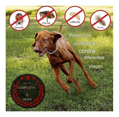 Collar Anti Pulga Repelente Para Perro 8 Meses De Protección