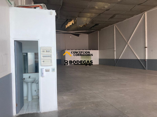 Arriendo Bodega De 390 M2 Carretera San Martin, Quilicura.
