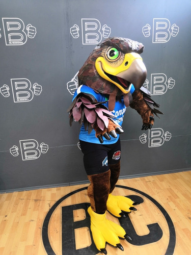 Imagen 9 de 10 de Botarga De Águila Del América Fibra De Vidrio
