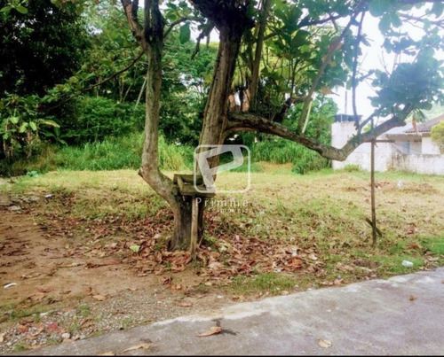 Imagem 4 de 9 de Terreno A Venda Em Balneário Camboriú - 5876