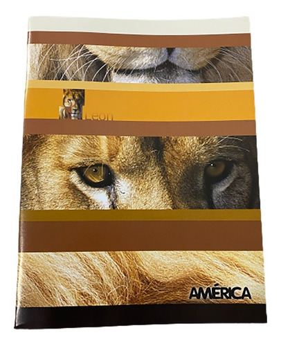 Cuaderno América Tapa Blanda (48 Hojas)