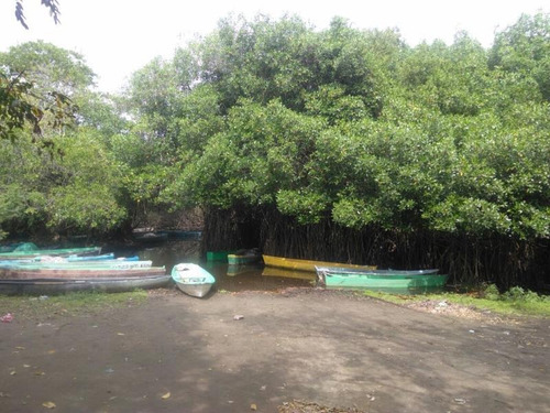 Terreno En Venta Poblado San Geronimo