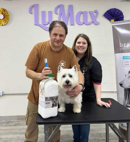 Curso De Peluqueria Canina