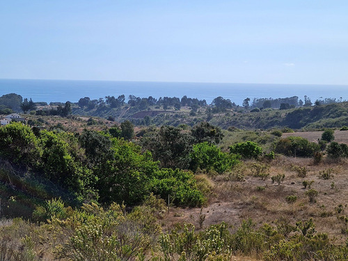 Imagen 6 de 25 de Parcelas De 5.000 Con/sin Vista Mar En Condominio Algarrobo