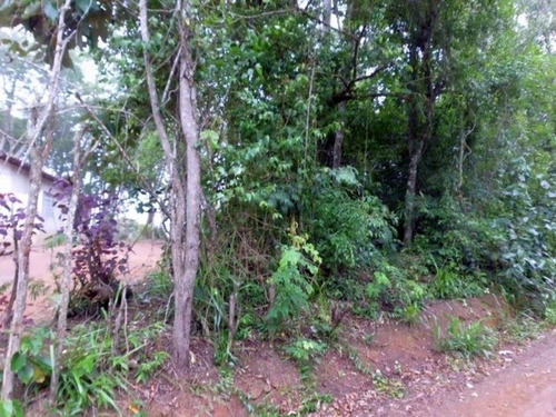 Imagem 10 de 13 de Terreno Ibiuna-cupim - 26