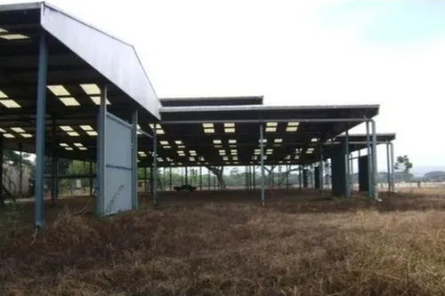 Imagen 5 de 10 de Terreno De 8305 M² En Venta Con Estructura Para Galpón Industrial En Encrucijada De Palo Negro Aragua