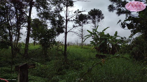 Imagem 7 de 15 de Chácara Para Venda Em Suzano, Ipelândia, 3 Dormitórios, 1 Suíte, 3 Banheiros, 1 Vaga - 0890_2022_2-1409469