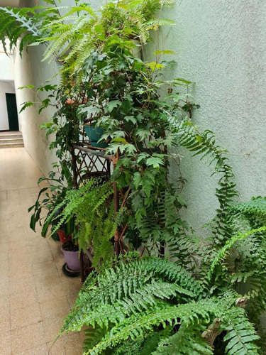 Ideal Inversor Dos Dorm Pleno Centro