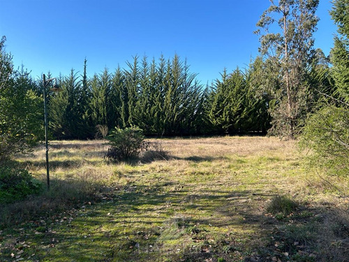 Arriendo Sitio Urbano Comercial 5.000 M2 Sector Patagual