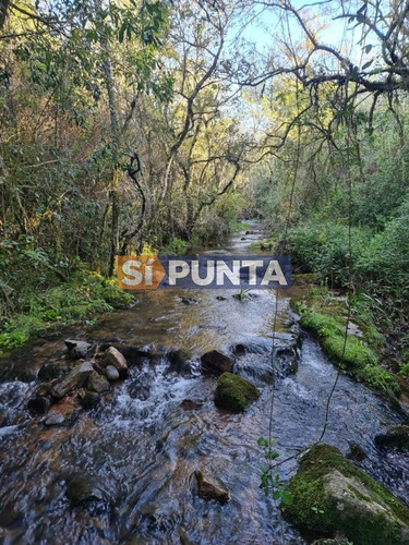 Imagen 20 de 22 de Fraccionamiento Zona: Ruta 109 Arroyo Valdivias