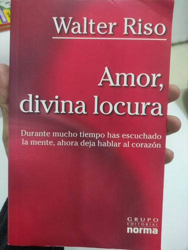 Amor Divina Locura - Walter Riso - Libro Original Usado 