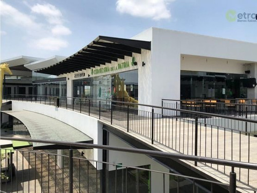 Imagen 2 de 4 de Oficinas En Renta En Raúl Salinas 208.5 Mts2 2nivel En Plaza