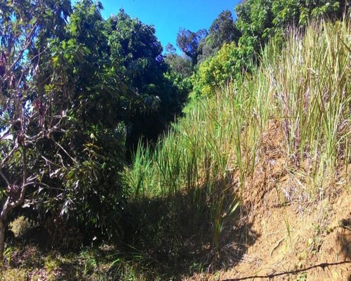 Imagem 11 de 23 de Sitio De 6 Alqueires - St00019