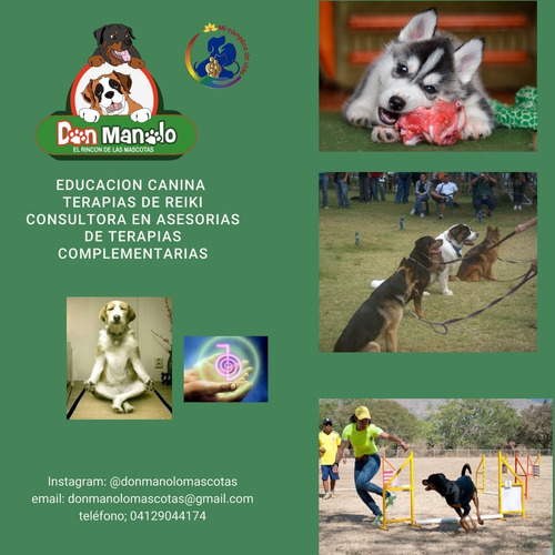 Imagen 7 de 8 de Hospedaje Canino,peluqueria Canino, Felina, Educadora Canina