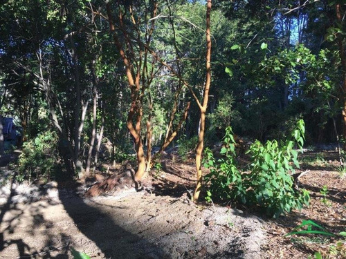 Hermoso Lote Con Vista Al Lago (cód. 205)