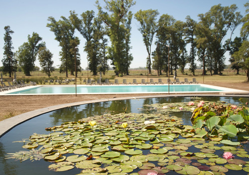 Lote Cercano Al  Agua  Villa De Campo Tres Pinos