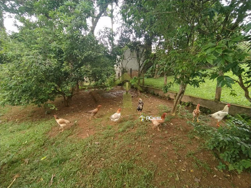 Imagem 9 de 27 de Chácara Com 4 Dorms, Recanto Do Tesouro, Embu-guaçu - R$ 220 Mil, Cod: 2328 - V2328