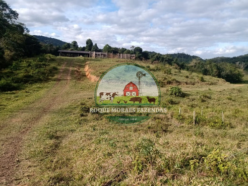 Imagem 10 de 20 de Fazenda À Venda Com 80 Alqueires Paulista No Vale Do Ribeira-sp Ref.: 0858
