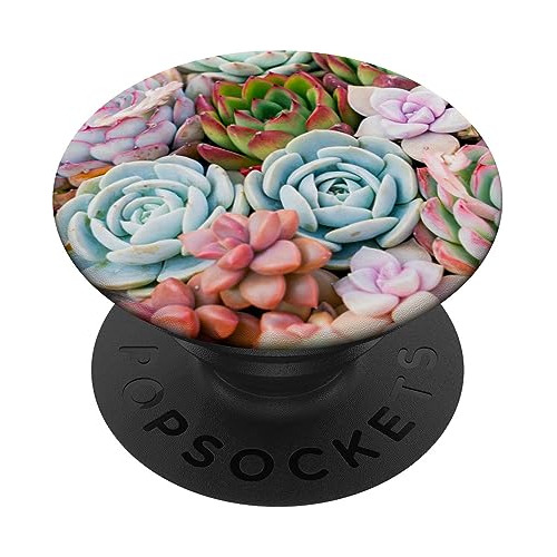 Plantas Suculentas En Miniatura Popsockets Para Standard Pop