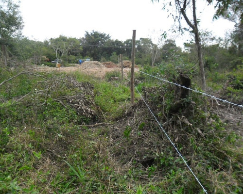 Imagem 6 de 9 de Terreno - T0609 - 32350475