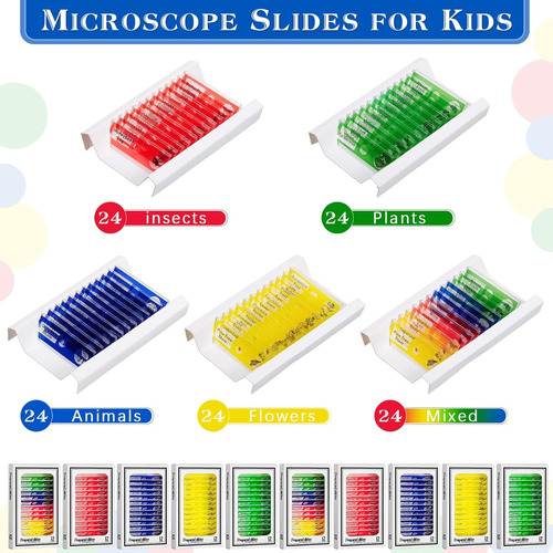 120 Piezas De Diapositivas De Microscopio Preparadas Para Ni