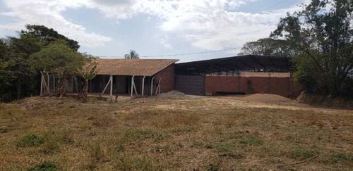 Imagem 26 de 27 de Sitio Com 2 Hectares A 4 Km Do Asfalto São João Da Boa Vista 600.000,00 - 33606