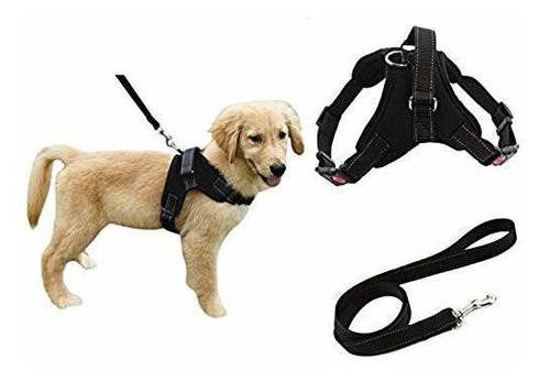 Heavy Duty Ajustable Perrito Del Arnés De Seguridad Del Perr