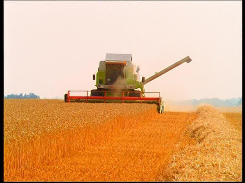 Campo En Venta En Las Petacas Santa Fé