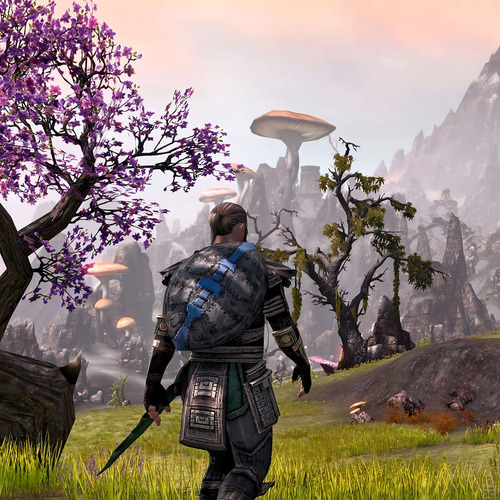 The Elder Scrolls Online Tamriel Unlimited Xbox One Juego