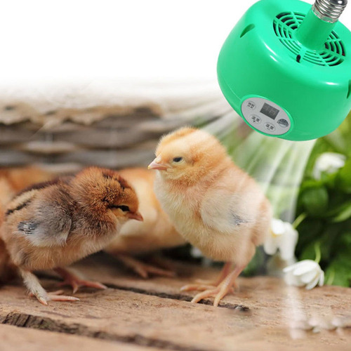 1pc Calentador Ventilador Luz De Calor Para Pollo Casero