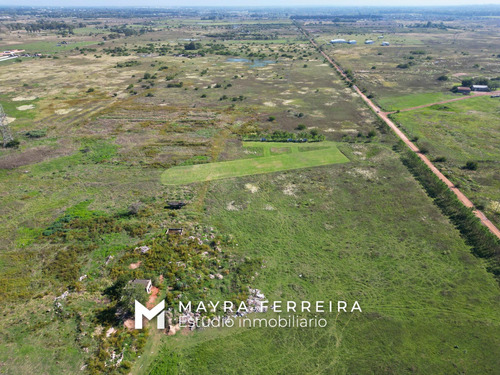 Venta De 4o Hectareas En Estaban Echeverria .canning