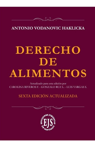 Derecho De Alimentos 6° Edición 2024 / Antonio Vodanovic H.