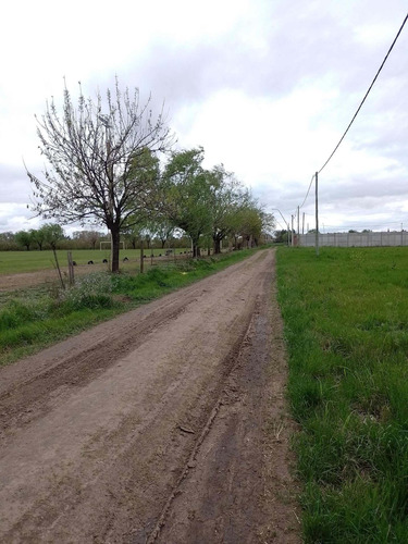 Imagen 4 de 9 de Lote En Venta- Importantes Medidas.