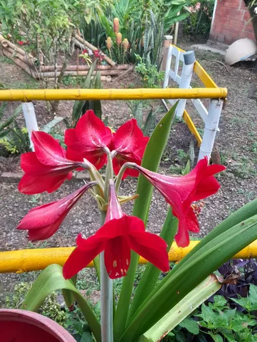Oferta Hermosa Finca En Anapoima, Aprovechen