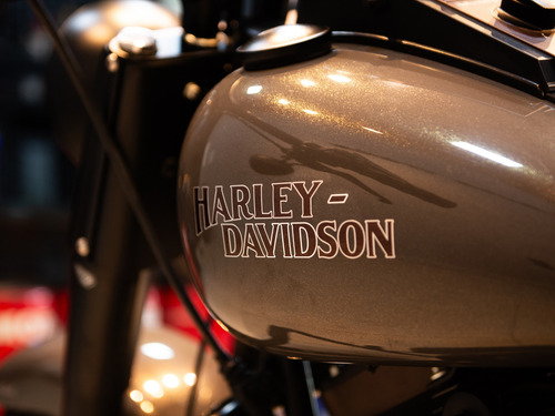 Harley-davidson Softail Fat Boy Custom 2008 - Impecável!