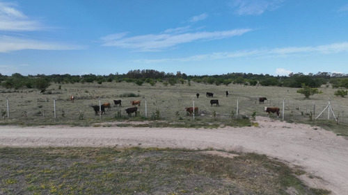 Terreno En Venta Los Talas - Berisso