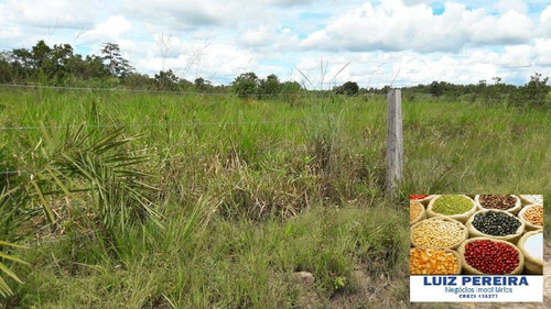 Imagem 9 de 12 de Fazenda À Venda Em Itacajá - T0 - De 230 Alqueirões (dupla Aptidão) - 1620