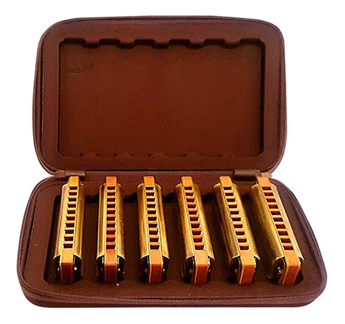 Kit Gaita De Boca Hering Harmônica Vintage Harp Promoção!