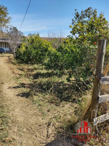 Imagem 7 de 23 de Sítio À Venda No Bairro Centro - Lagoinha/sp - 1787