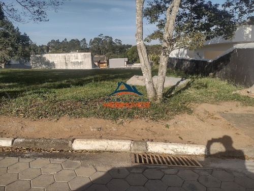 Imagem 10 de 12 de Terreno - Te00021 - 69336091