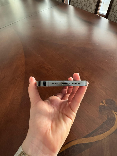 Iphone 13 Pro Max Grafito 1tb Gris Oscuro (Usado)
