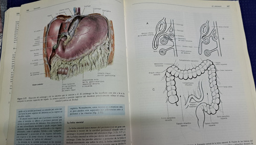 Anatomía Con Orientación Clínica 3ra Edit Keith L Moore (Usado)