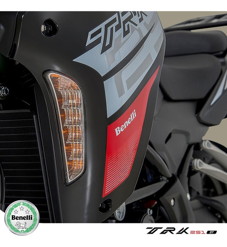 Imagen 11 de 21 de Benelli Trk 251 Abs