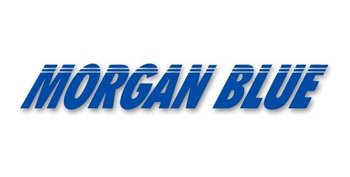 Graxa Morgan Blue Para Carbon Assembly Paste 100g Azul