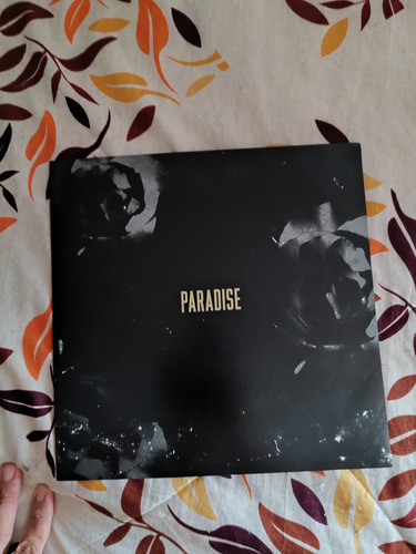 Disco Vinil Lana Del Rey (Usado)