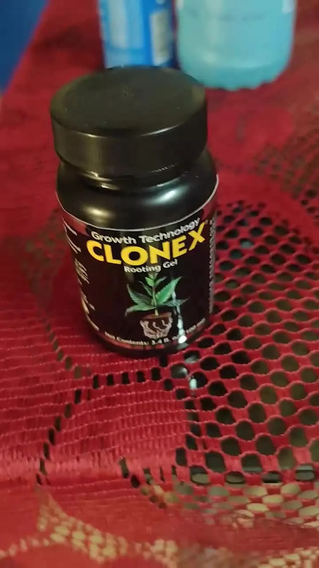 Clonex Rooting Gel 100ml Enraizamiento Plantas | MercadoLivre