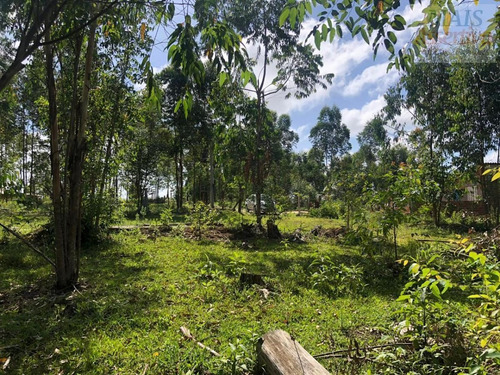 Imagem 3 de 15 de Chácara Para Venda Em Parobé - Cwvcr041_2-1122322